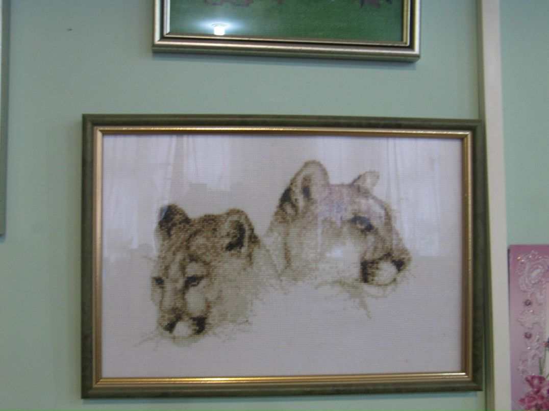 Татьяна Чубач | Полтава