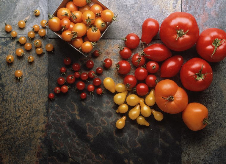 Оля Лобанова | Сочи