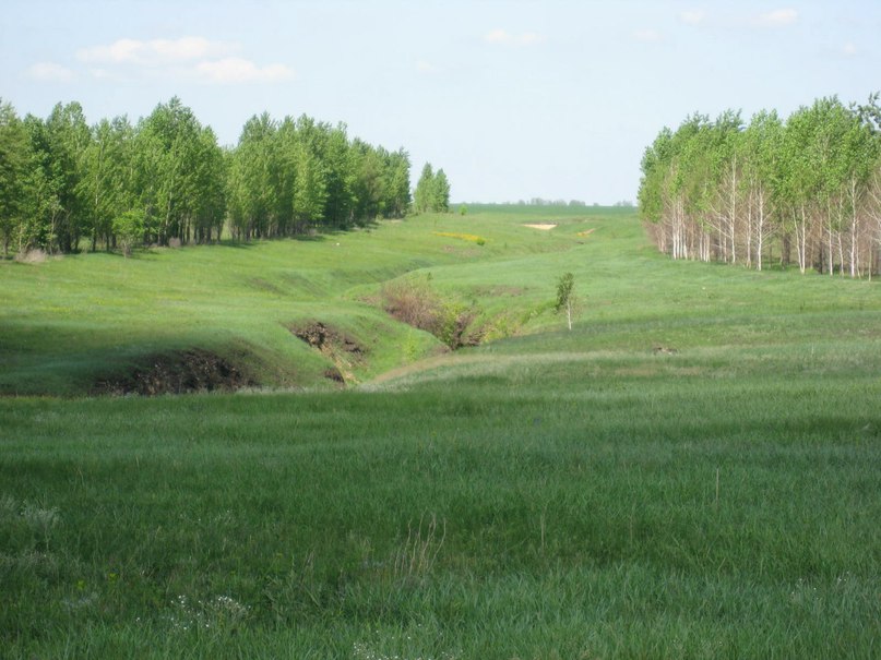 Александр Чубаров | Липецк