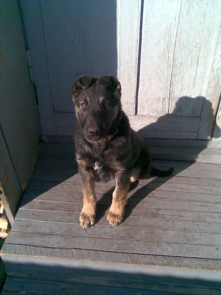 Артем Акишин | Красноярск