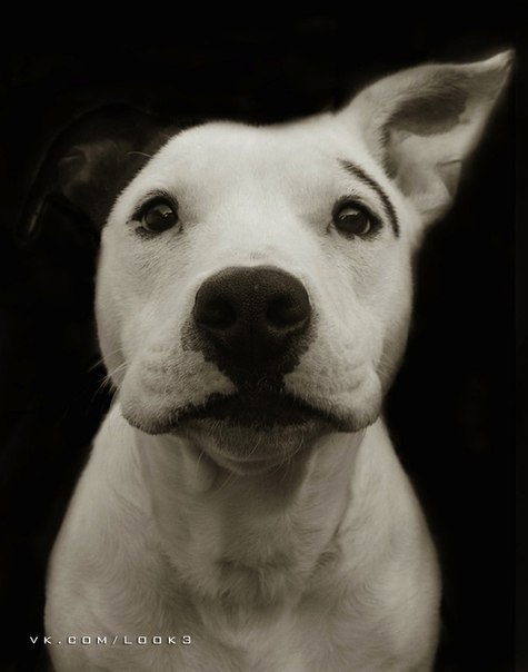 Влад Романенко | Днепр (Днепропетровск)