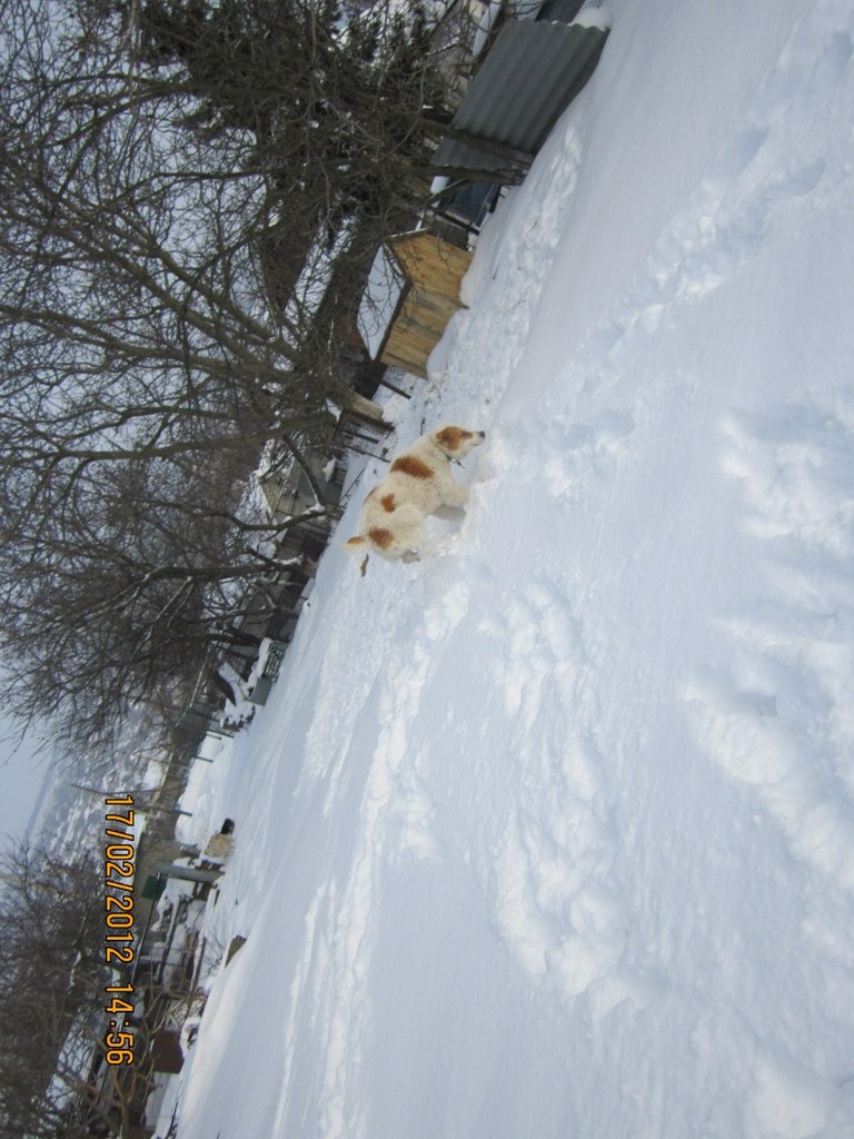 Лёня Бондаренко | Доманевка