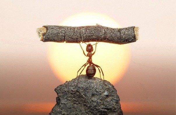 Оксана Легашова | Москва