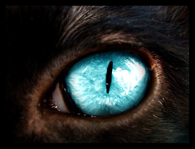 Сергей Якунин | 