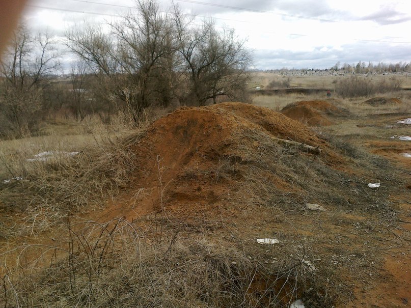 Михаил Огий | 