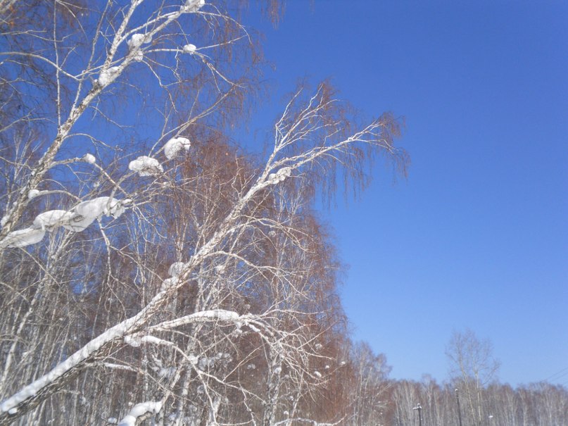Любочка Иванова | Иркутск