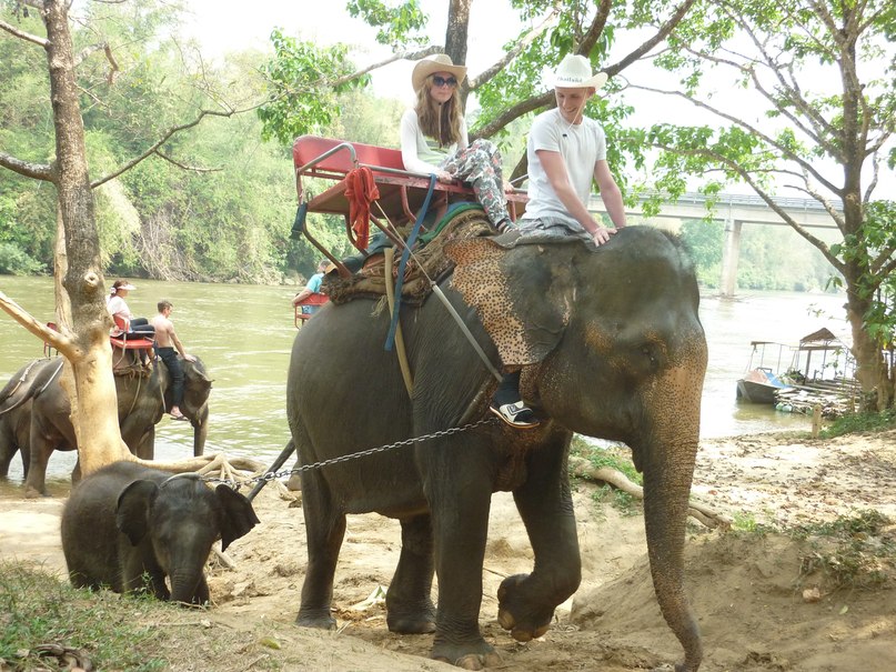Алексей Дейс | Томск