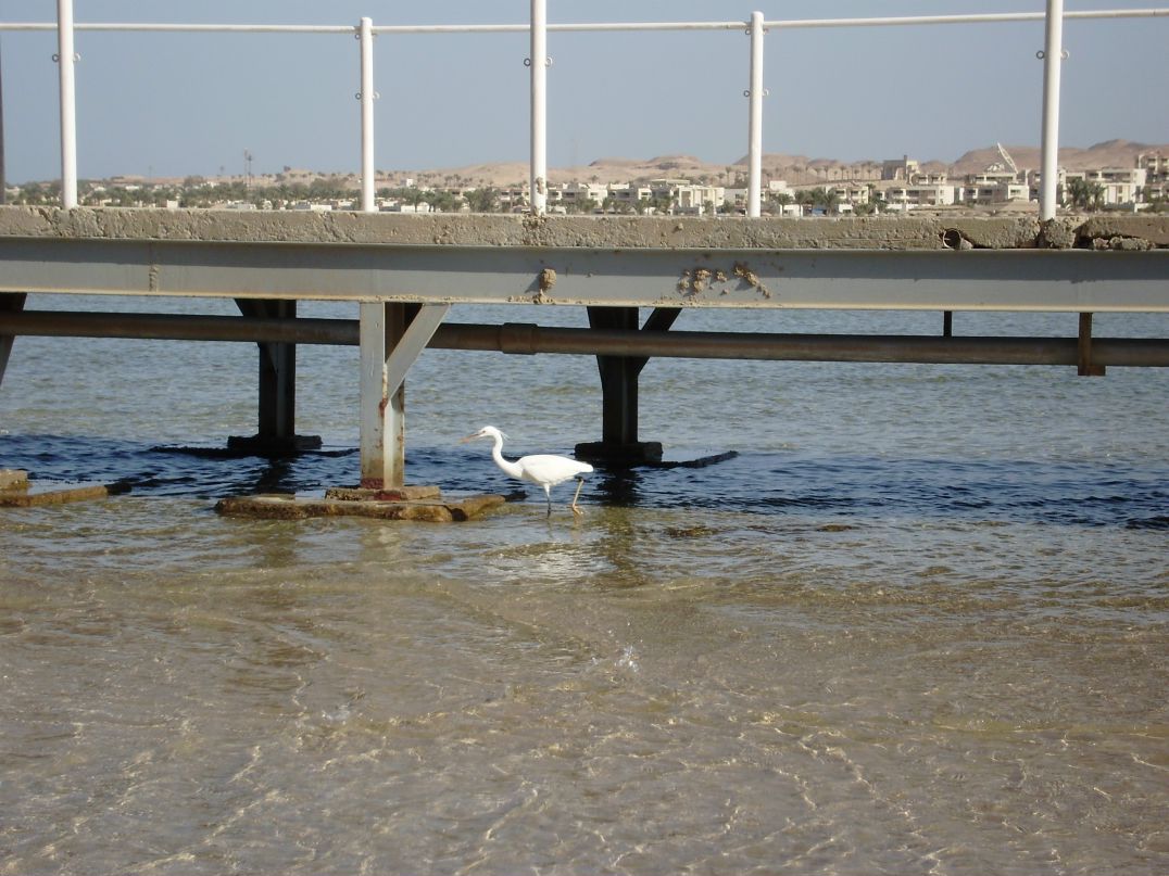 Данил Усманов | Екатеринбург