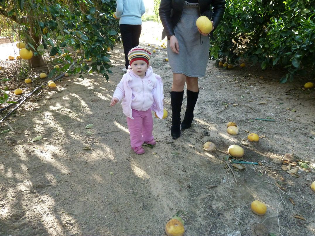 Анна Бурковскаястолярова | Санкт-Петербург