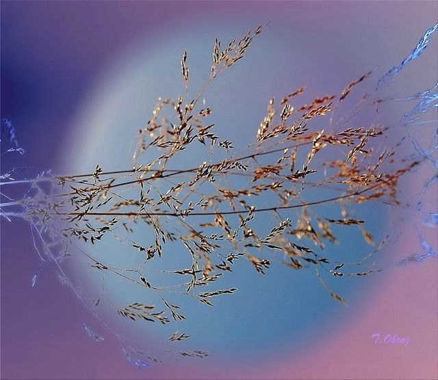 Сергей Сергеев | 