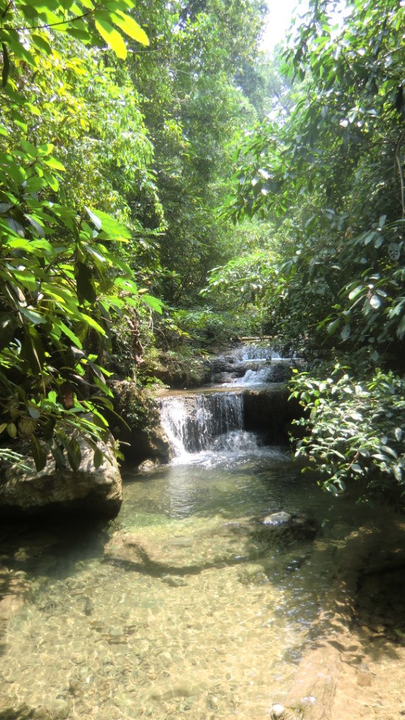 Екатерина Селиванова | Москва