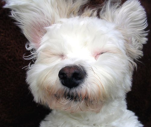 Виктория Лабутина | Одесса