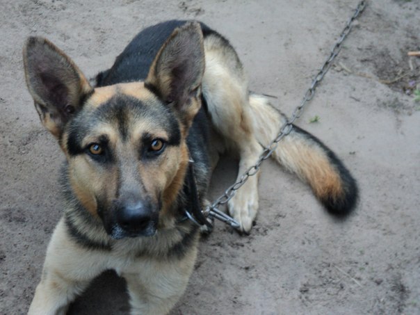 №111, Алина Плющакова, Мозырь №111, Алина Плющакова, Мозырь