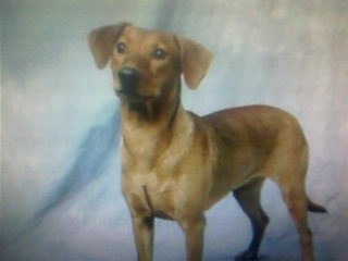 Аня Севостьянова | Омск