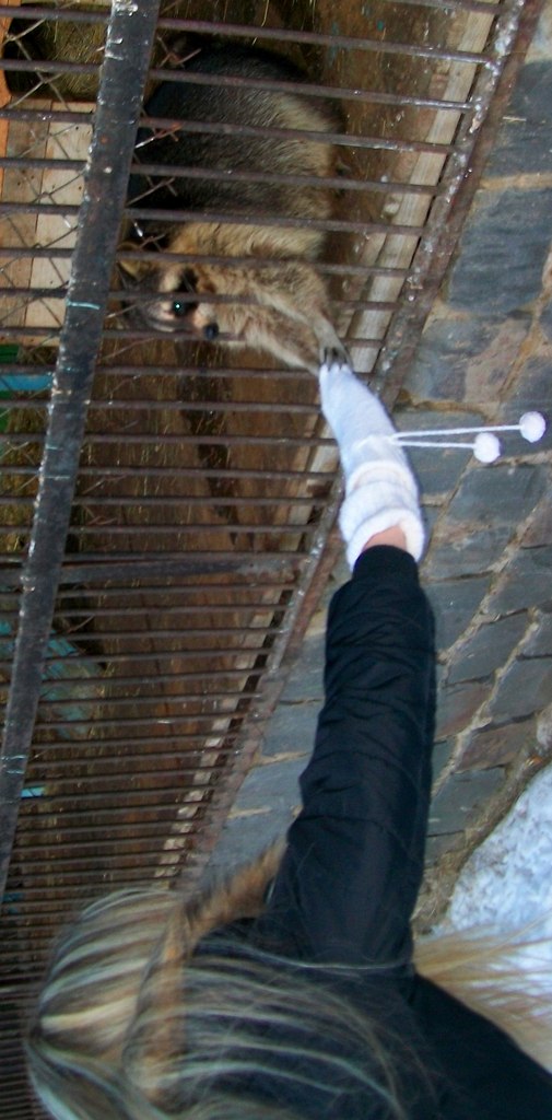 Наточка Шакланова ...BlaсkCat... | Первомайск