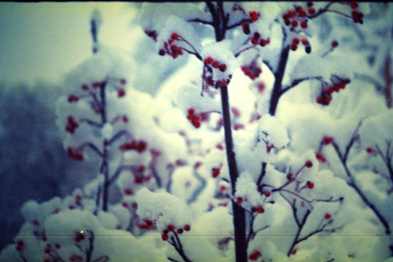 Сабина Бровист | Ростов-на-Дону