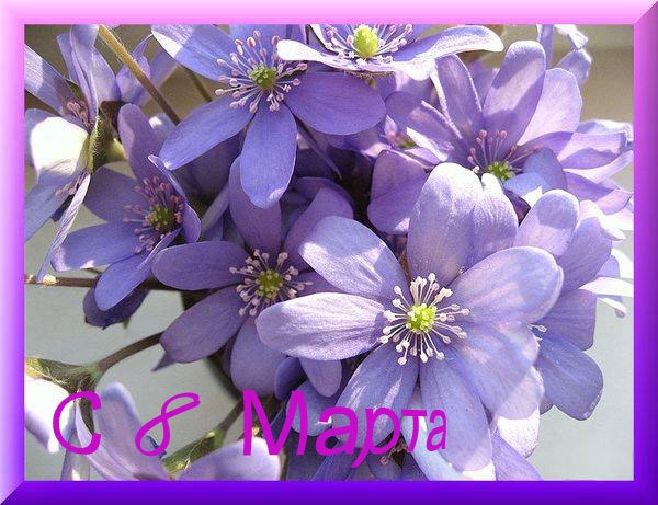 №111, Богдан Русин, Самбор №111, Богдан Русин, Самбор