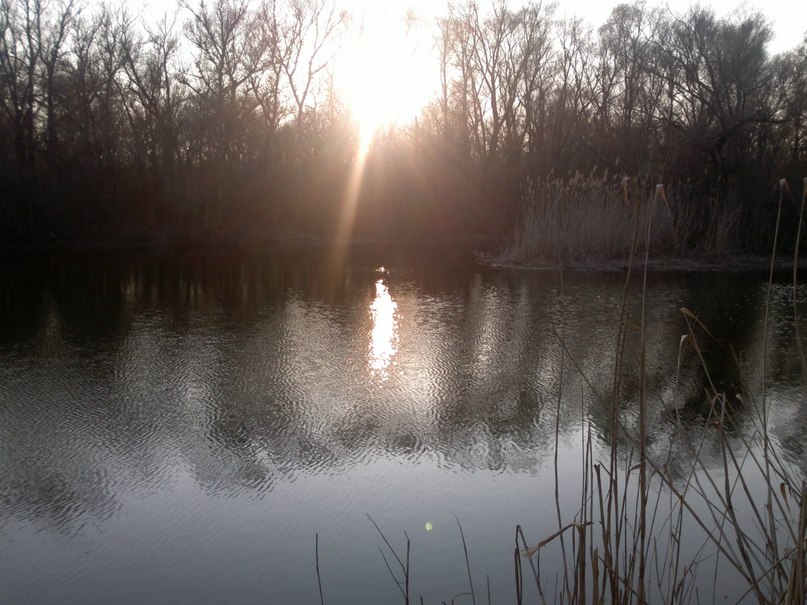 Юрий Градинович | Запорожье