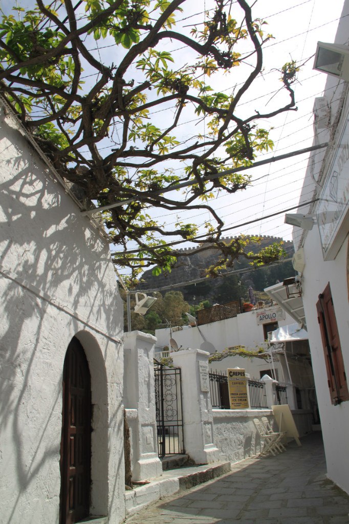 Ronald Shipitsyn | Беэр Шева