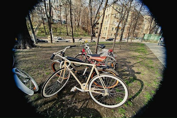 №50, Настя Positive №50, Настя Positive