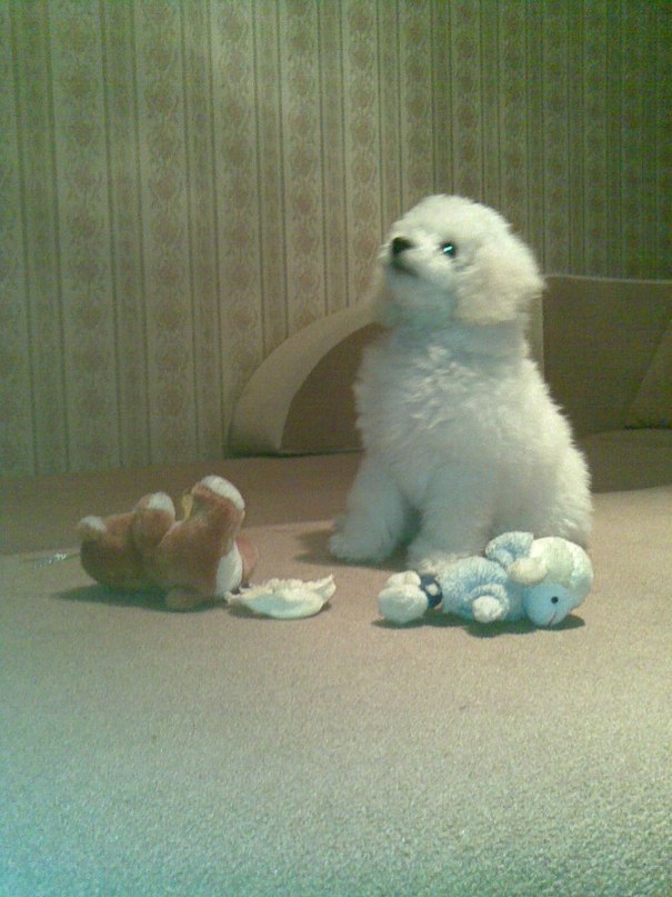 Надежда Литвинова | Якутск