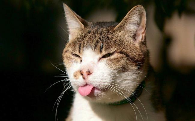 Владлен Самосудов | Мариуполь