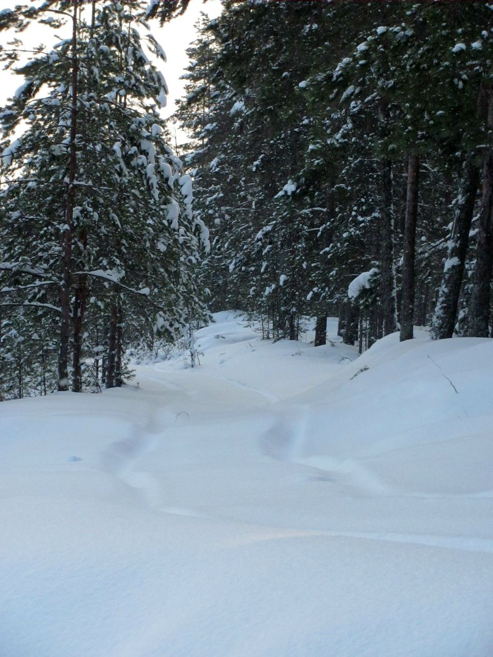 Юрий Лесков | Санкт-Петербург