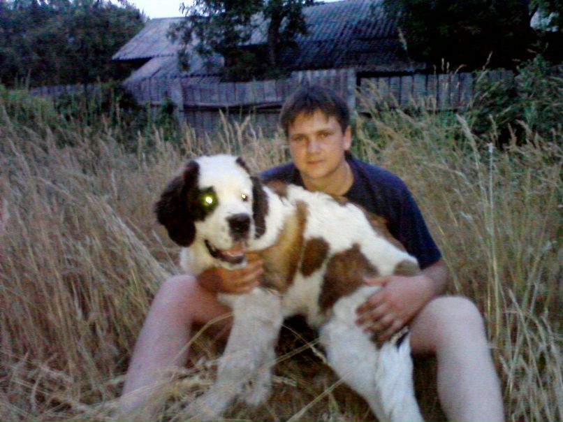 Ванек Петрикей | Чернигов