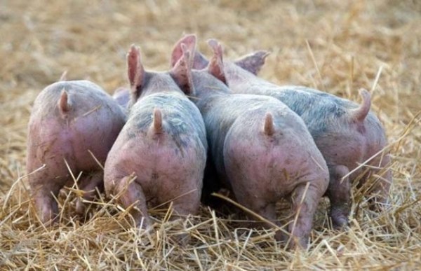 Яна Скворцова | Санкт-Петербург