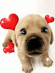 Наташа Бурма | 