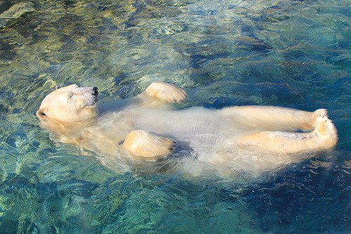 Vita Solare | Владикавказ