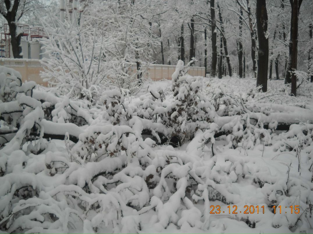 Юрий Бурыкин | Брянск