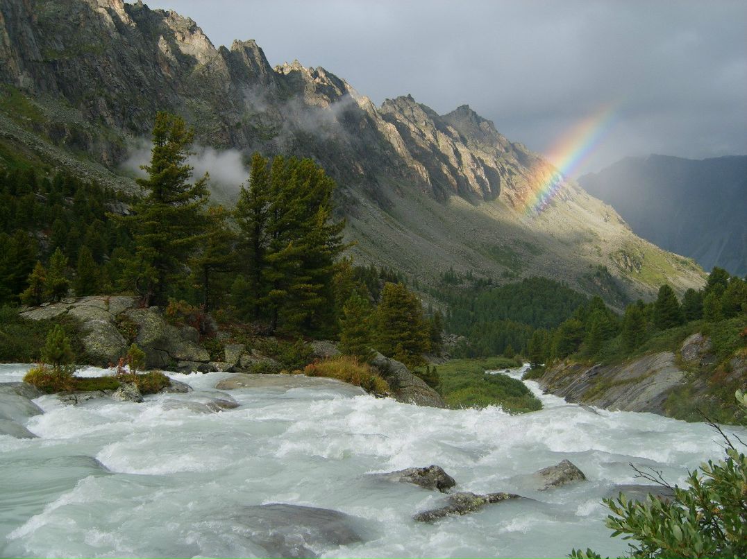 Дмитрий Поляков | 