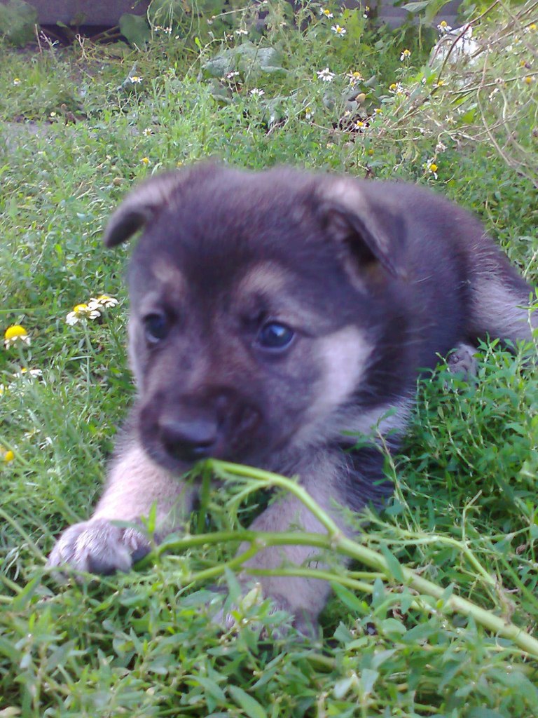 Василь Здрилюк | Львов