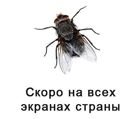 Дмитрий Дмитриев | Калининград