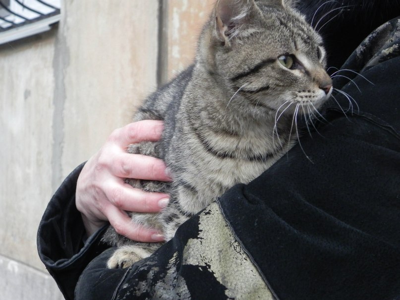 Татьяна Дёмина | Кривой Рог