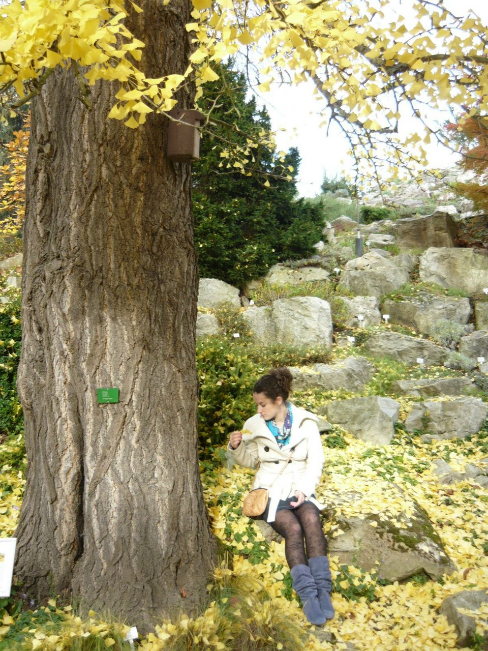 Vera Elansari | Paris