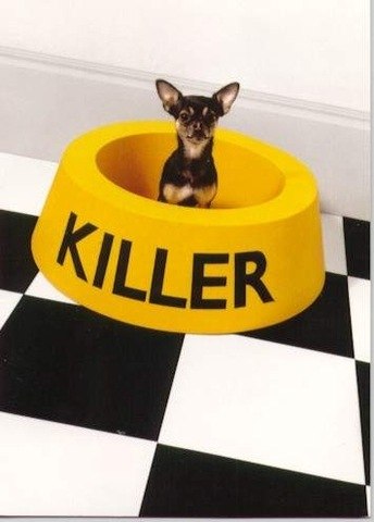 Евгений Шепилов | Рамонь