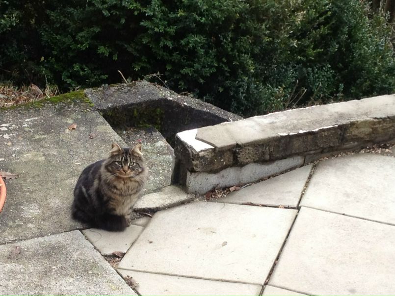 №29, Natali Zaikina, Батуми, Грузия №29, Natali Zaikina, Батуми, Грузия