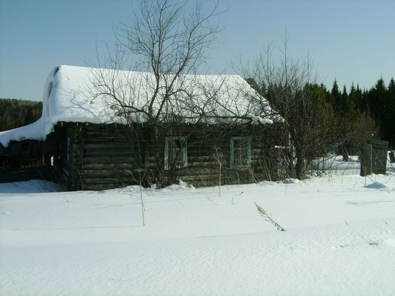 Николай Цибин | Красноярск