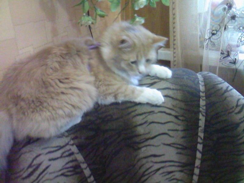 Ольга Щедрина | Североморск