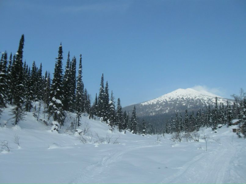 Станислав Орлов | Новокузнецк