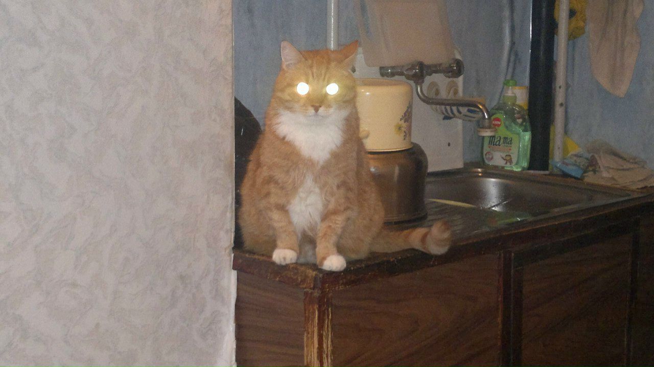 Алексей Соловьев | Кронштадт