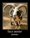 №38 Анна Мосина : профиль, фото, статус - ВКонтакте