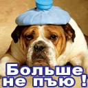 Александр Прелов | 