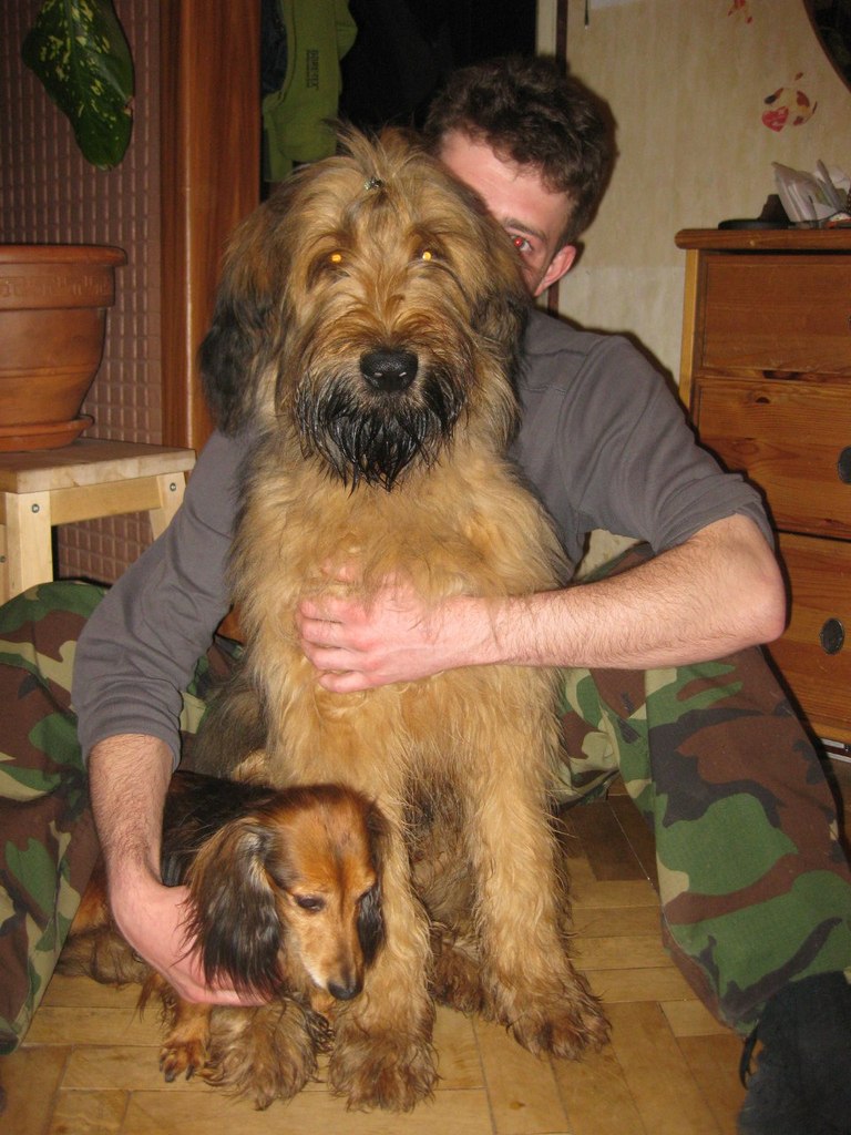 Константин Днепровский | Москва