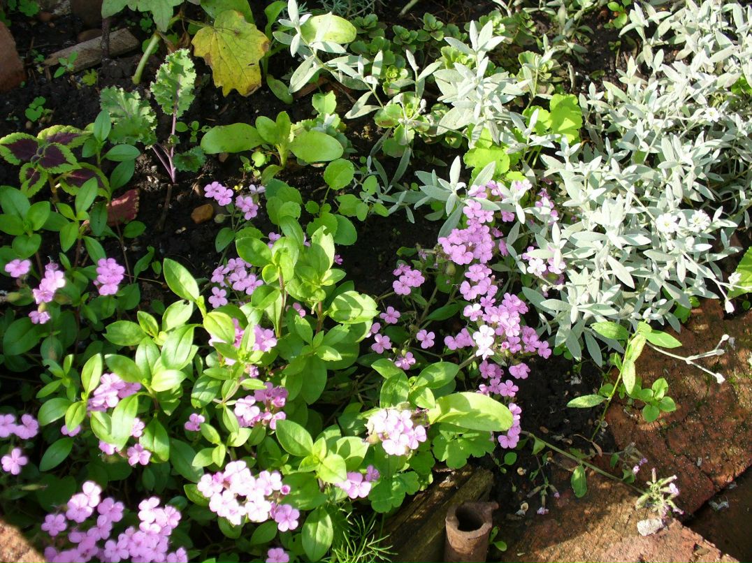 Тамара Логинова | Салават