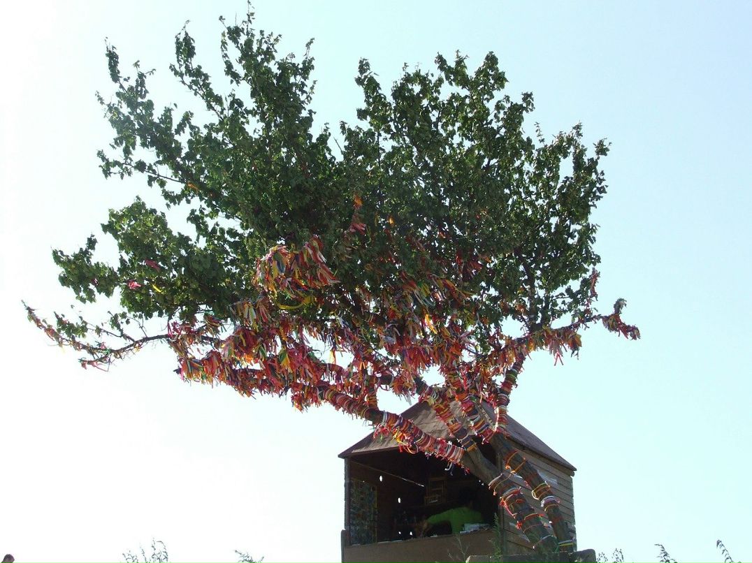 Мария Дирадо | Port Harcourt