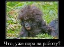 Фотография Алексей Власов