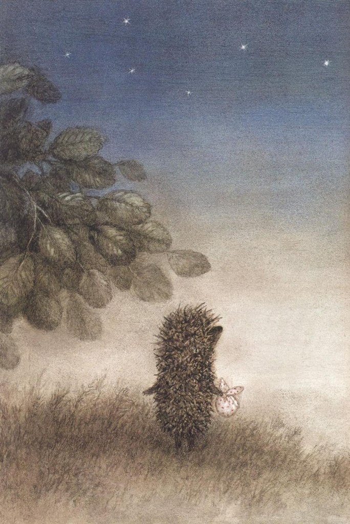 Екатерина Белокурова | Новая Майна